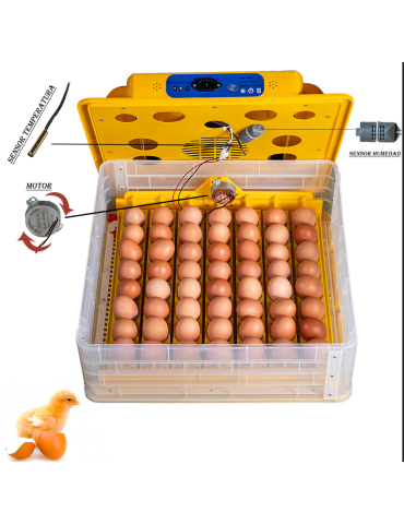 Incubadora Automática  56 Huevos
